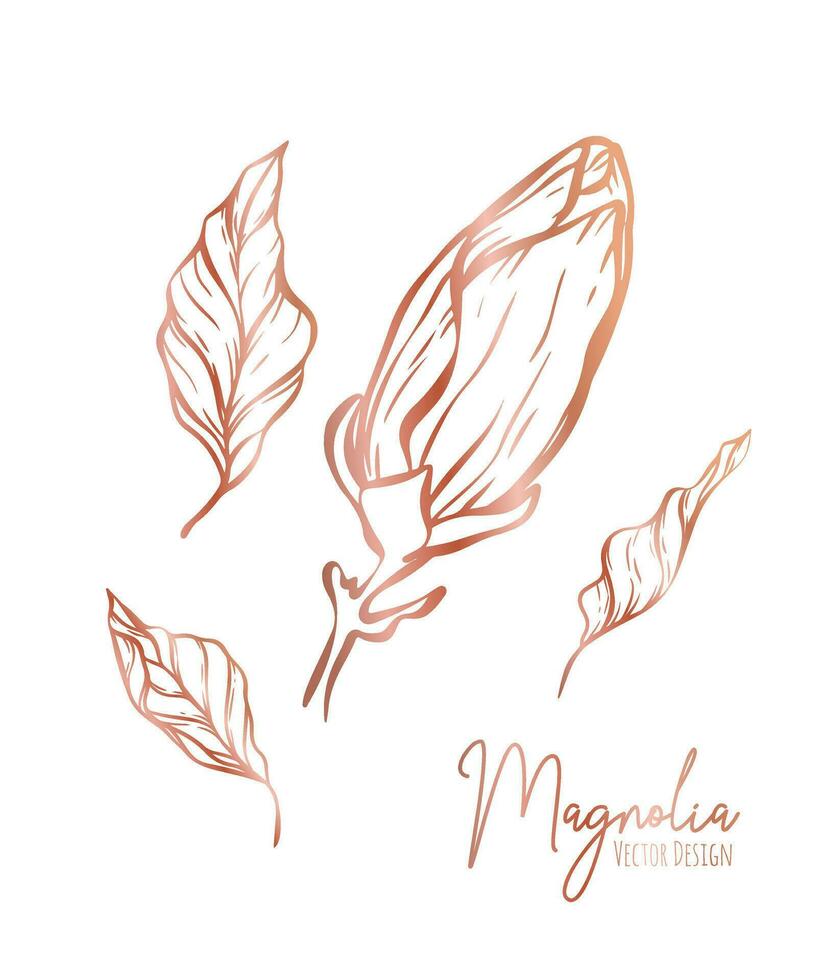 Magnolia flower line illustration set. Hand drawn rose gold outline wedding herb, elegant leaves for invitation save the date card. Botanical trendy greenery vector collection for web, print, posters.