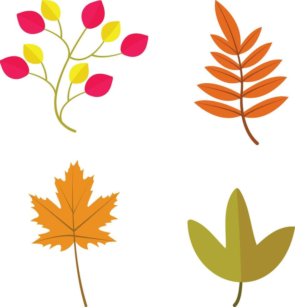 Autumn Leaves Illustration. Colorful Design. Vector Illustration