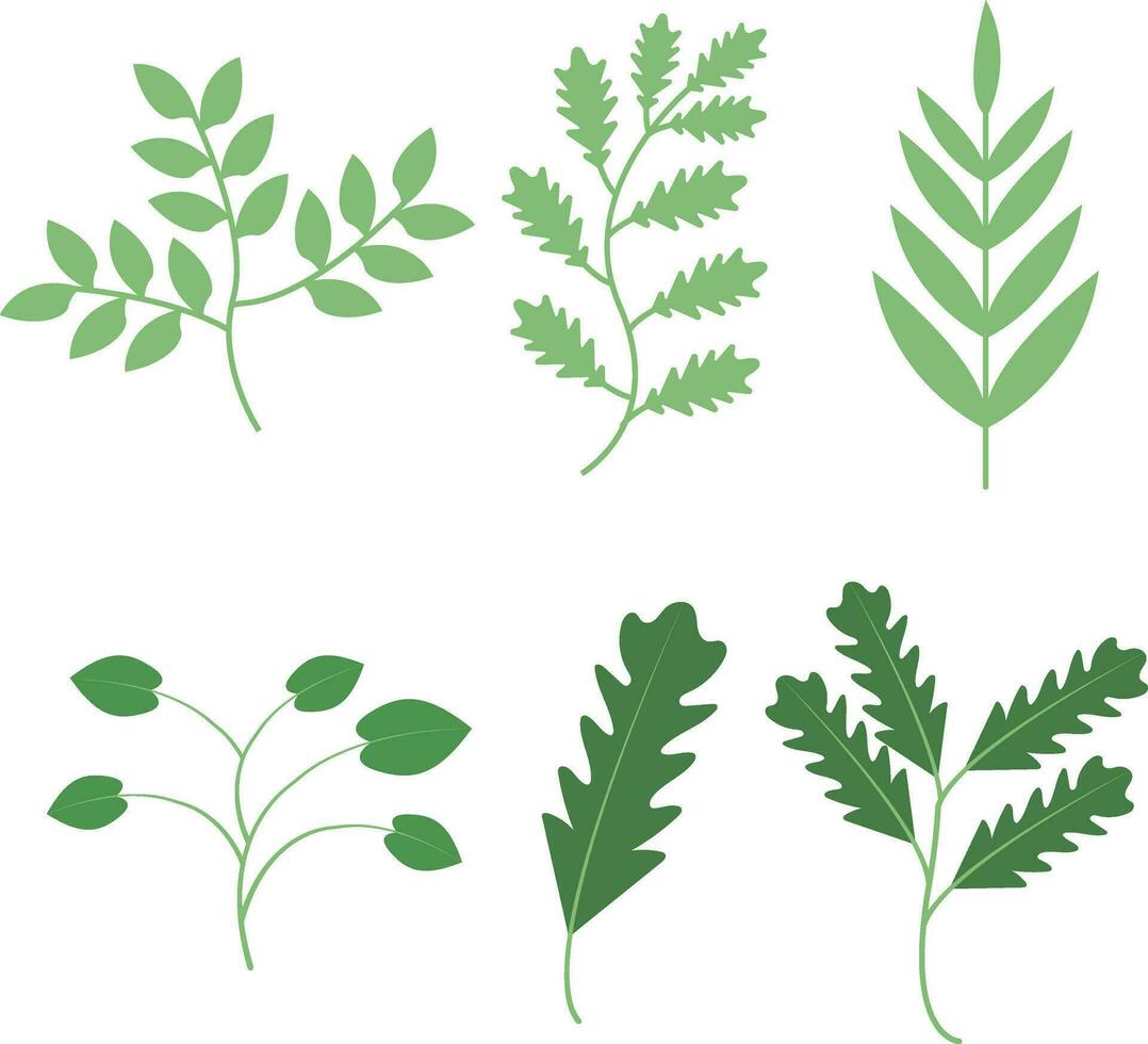 Leaf Decoration Shape. Simple Design. Vector Illustration