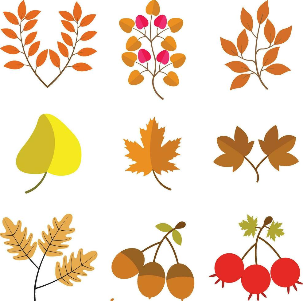Autumn Leaves Illustration. Colorful Design. Vector Illustration