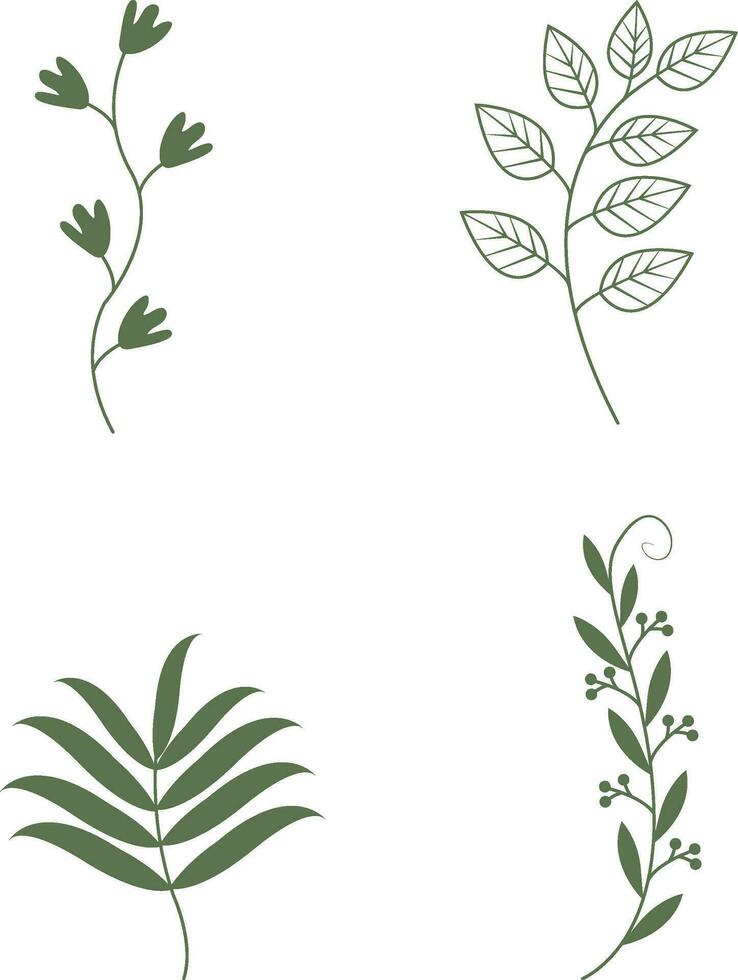 Leaf Branch Icon Set. Isolated on White Background. Vector Illustration