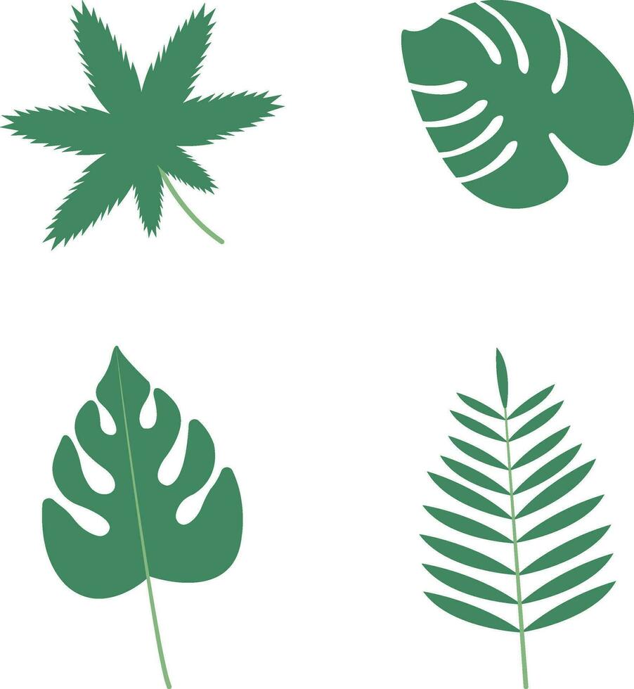 Flat Tropical Leaves Icon. Isolated on White Background. Vector Illustration Set.