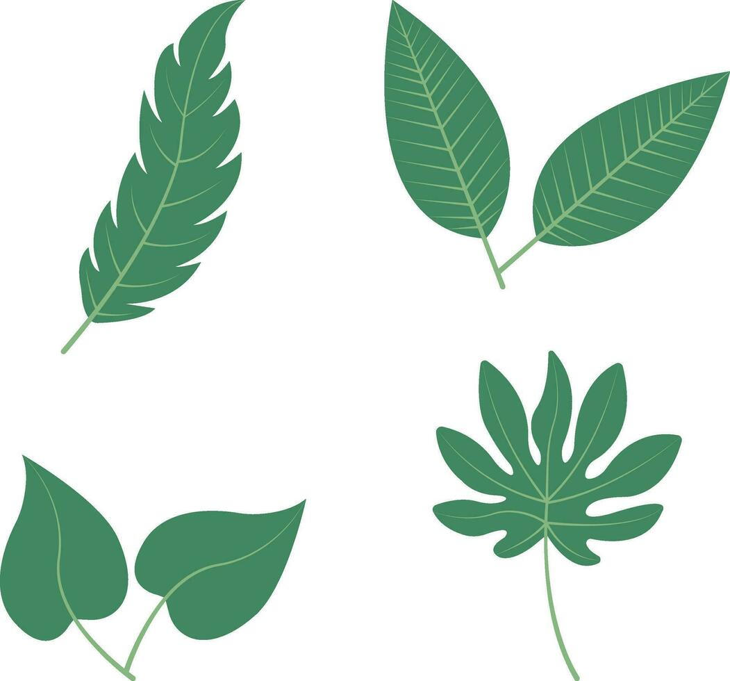 Flat Tropical Leaves Icon. Isolated on White Background. Vector Illustration Set.