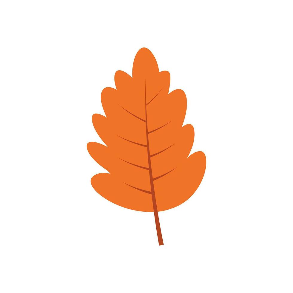 Autumn Leaf Illustration Element Vector , Nature Leaf Autumn