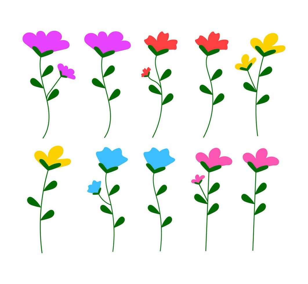 Flower Vector Element Set . Flower Decoration Element .