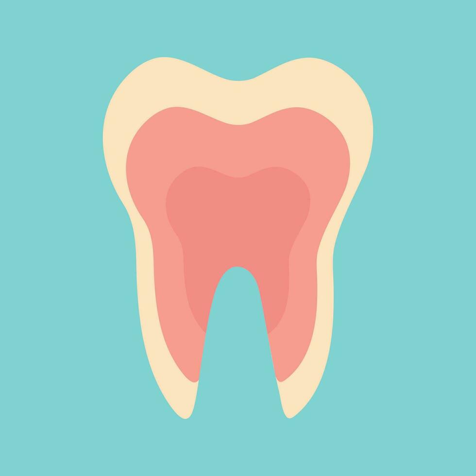 Inflamed tooth, inflamed pulp vector