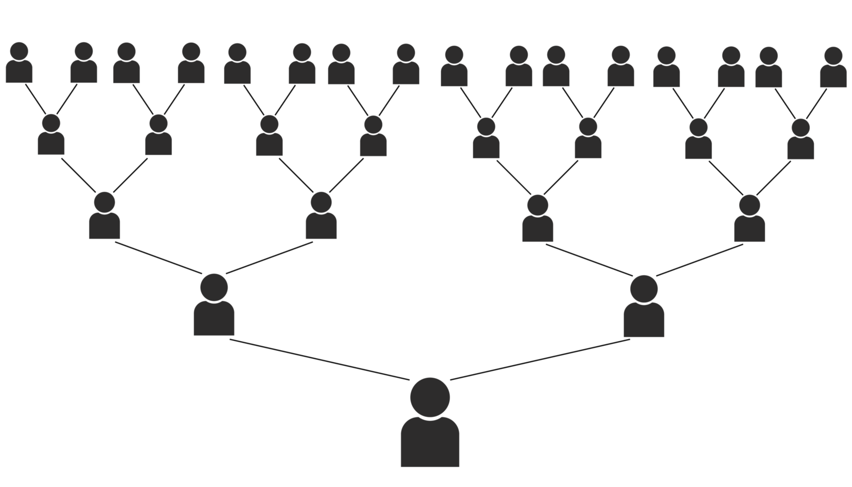 Business tree illustration. Describe multilevel marketing png