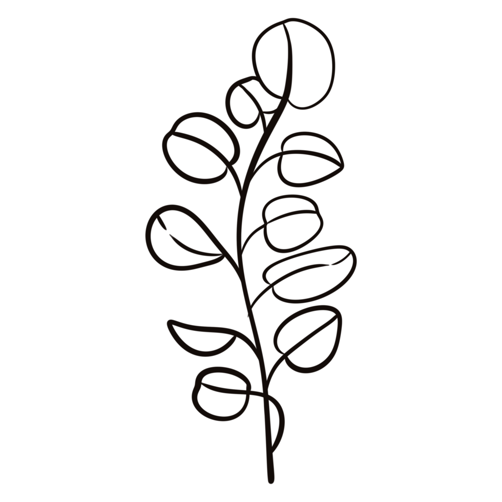 Hand drawn leaf illustration doodles style. png