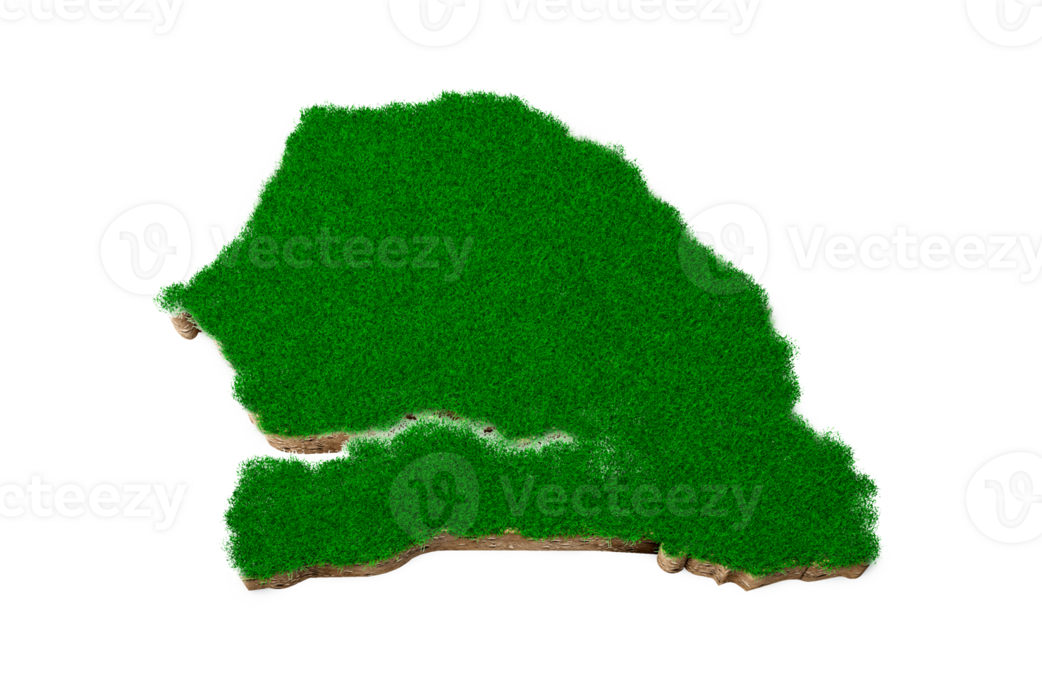 senegal mapa suelo tierra geología sección transversal con hierba verde y roca suelo textura 3d ilustración png