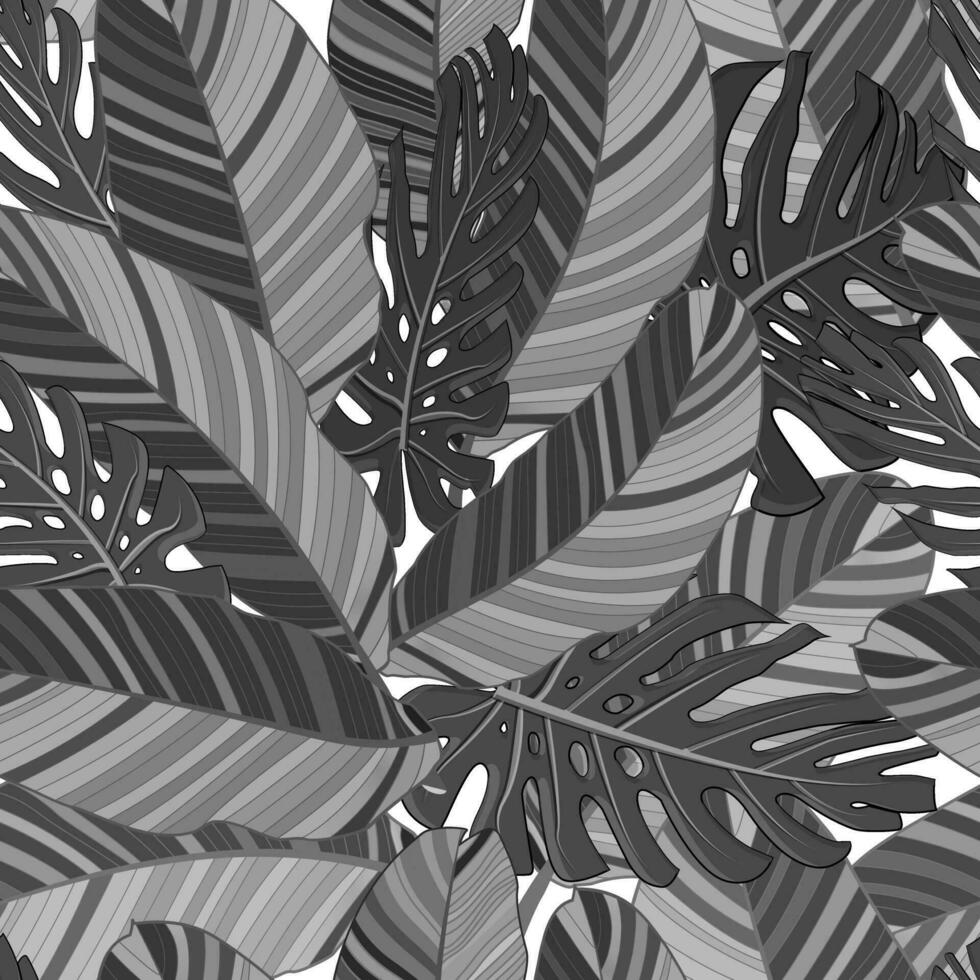 Monstera and banana tropical leaves seamless textile black and white pattern isolated. Set of vector elements, for tropical, exotic, summer design.