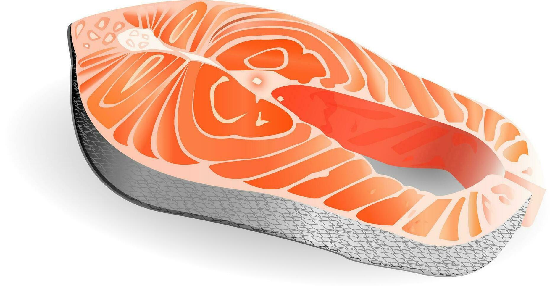 Salmon steak vector illustration. Piece of red fish lying on white background. Realistic raw seafood.