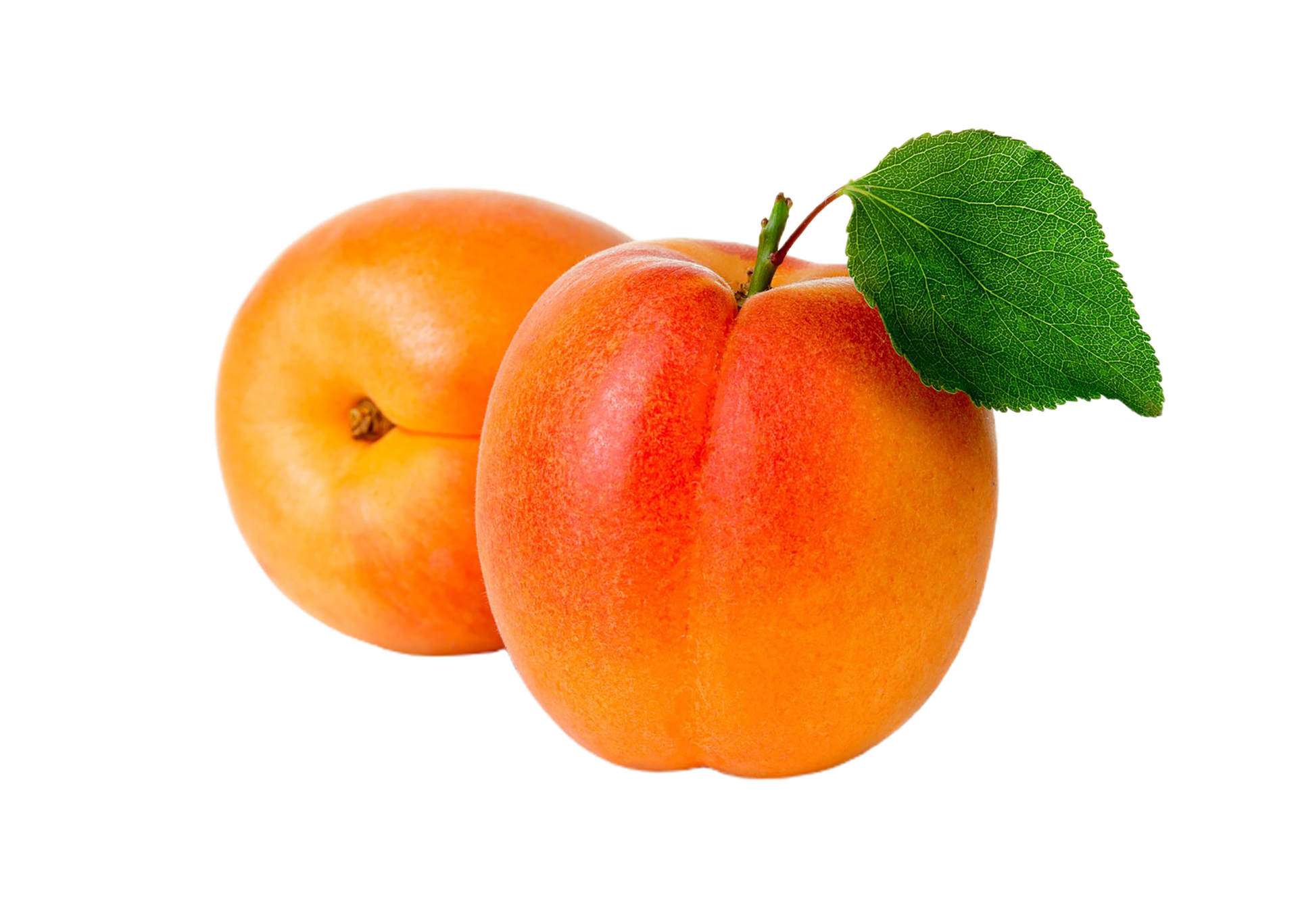 Apricot png transparent background 29228384 png