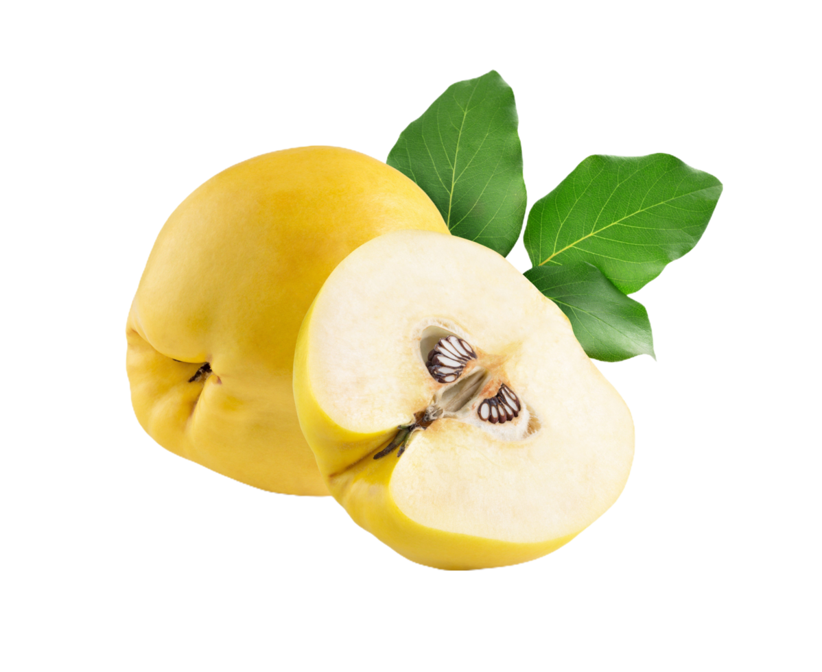 membrillo png transparente antecedentes 29228568 PNG