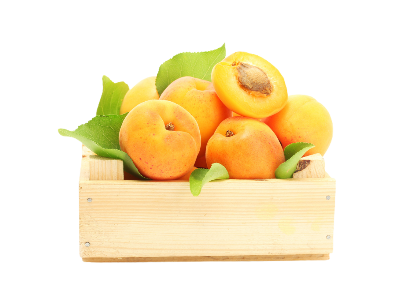 Apricot Png Transparent Background 29228374 Png - vrogue.co