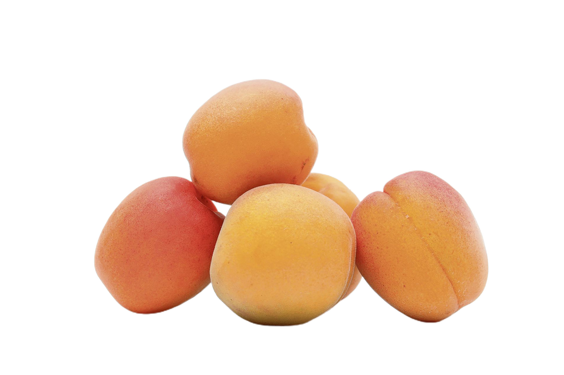 Apricot png transparent background 29228687 PNG