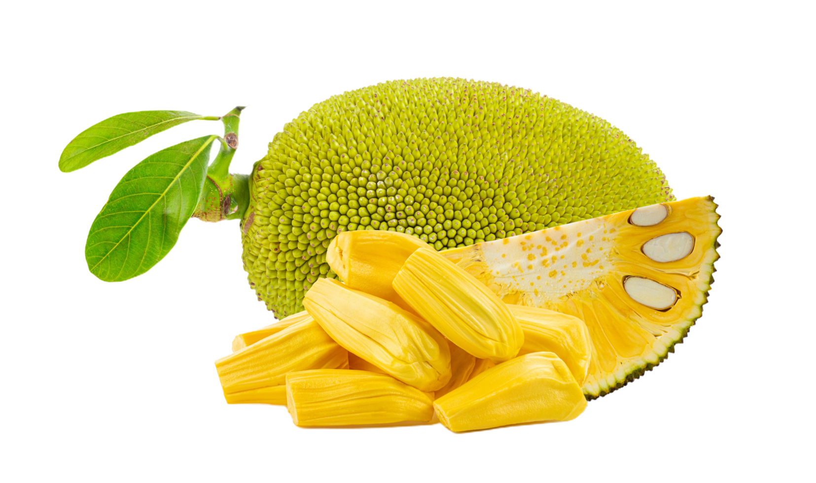 jackfruit png transparent background