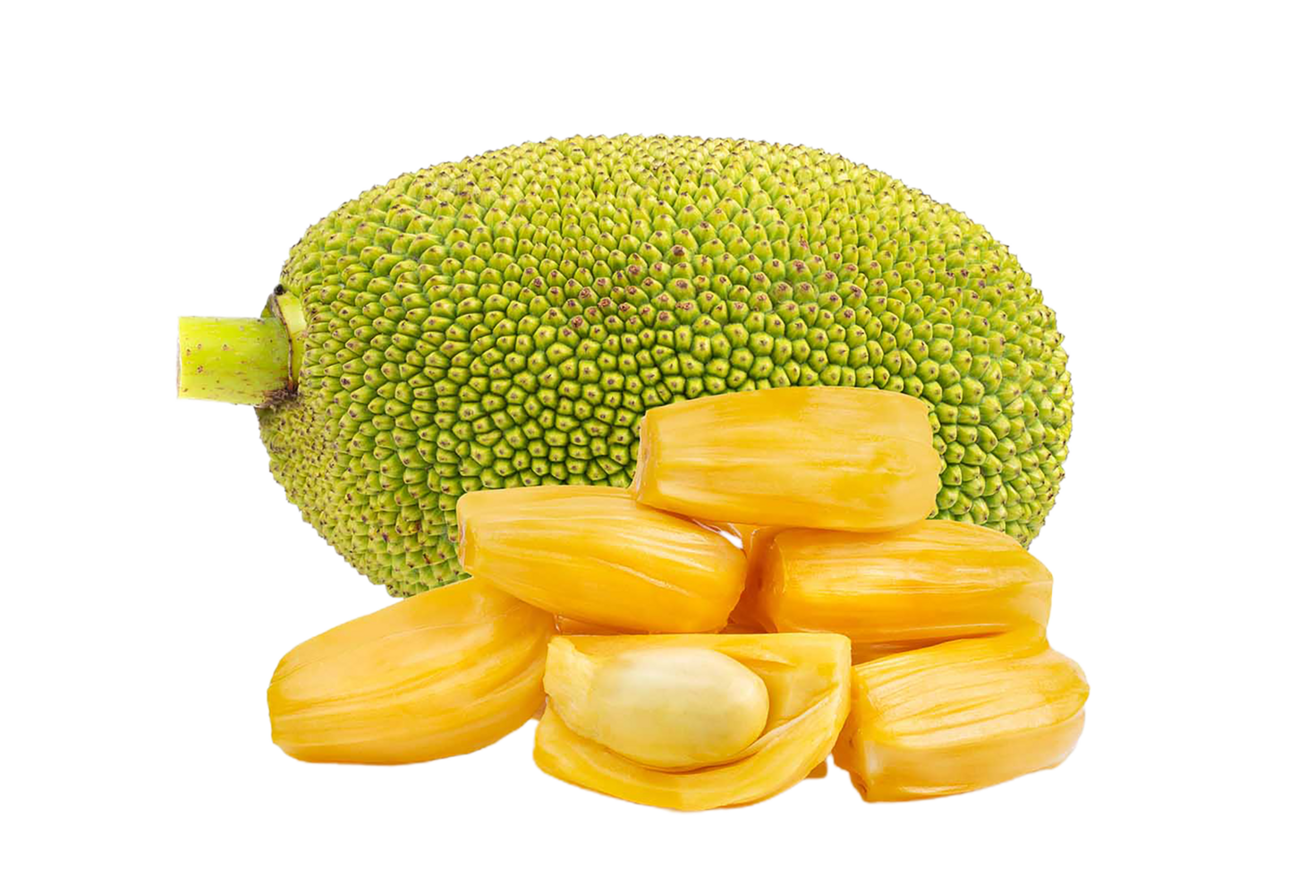 jackfruit png transparent background