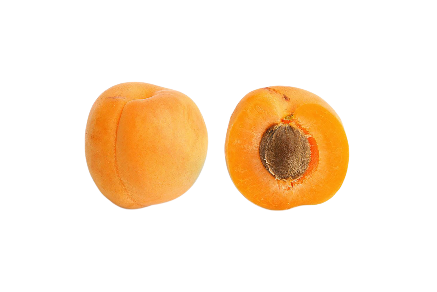 Apricot png transparent background 29228767 PNG
