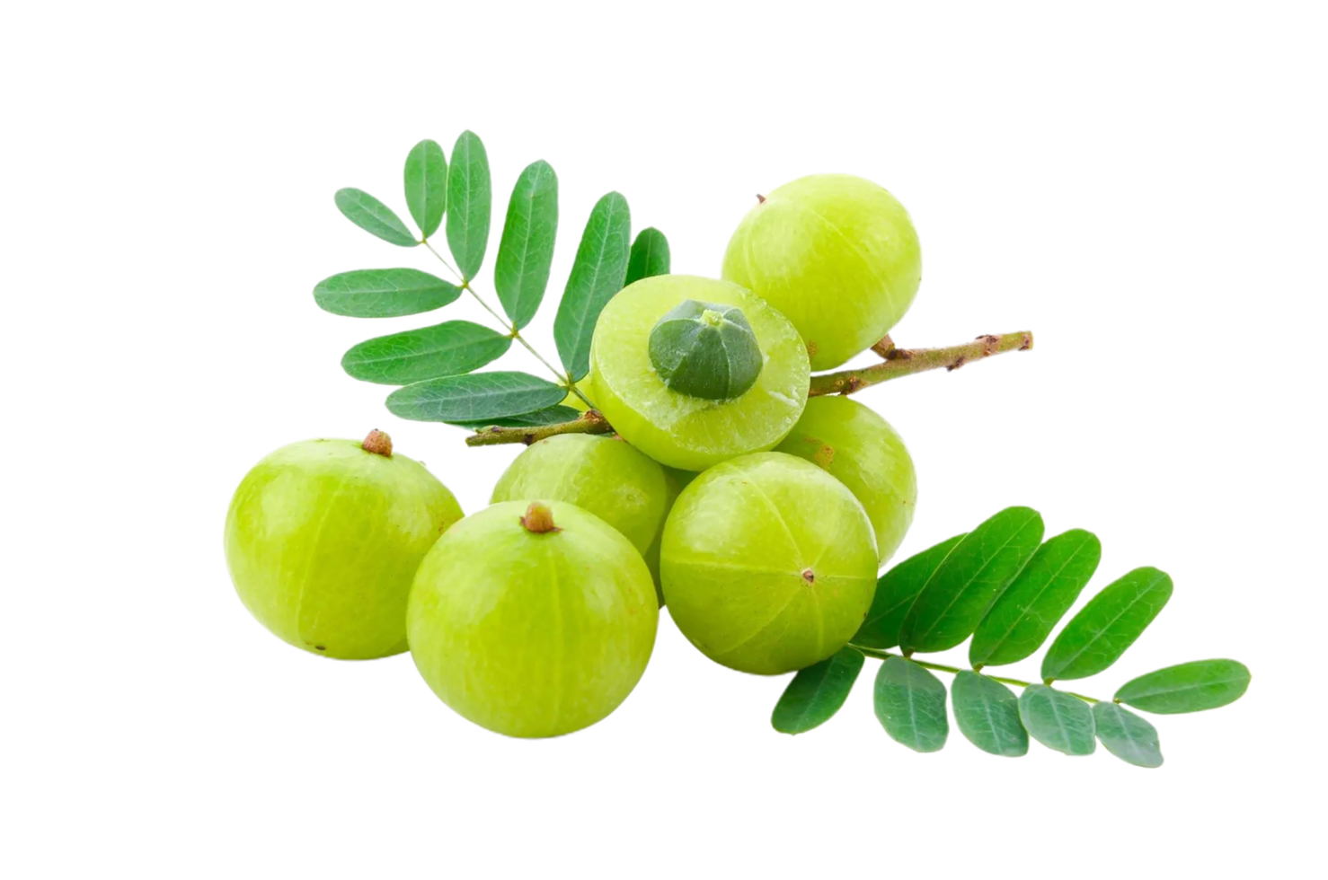 amla png transparent background