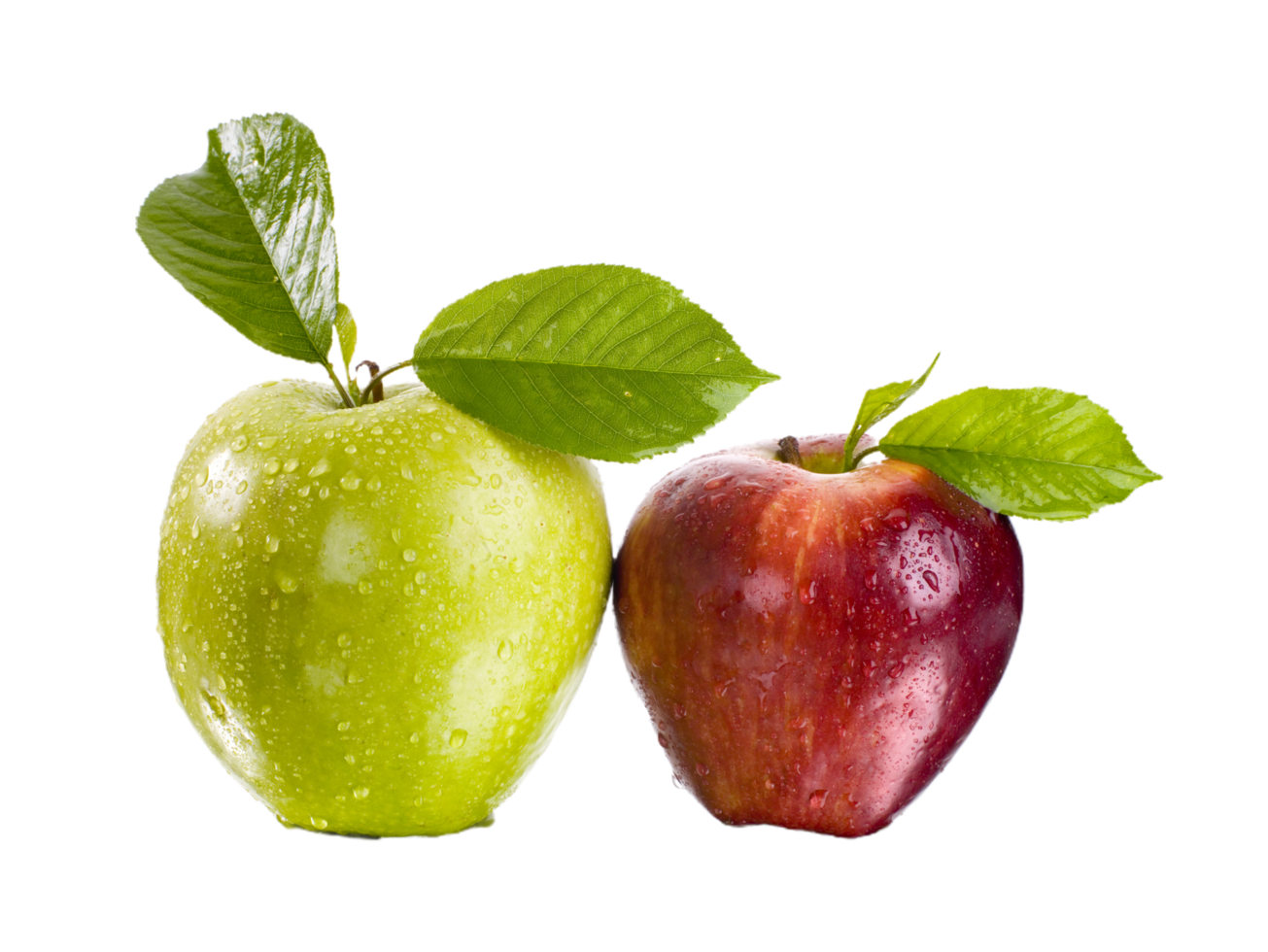 apple png transparent background