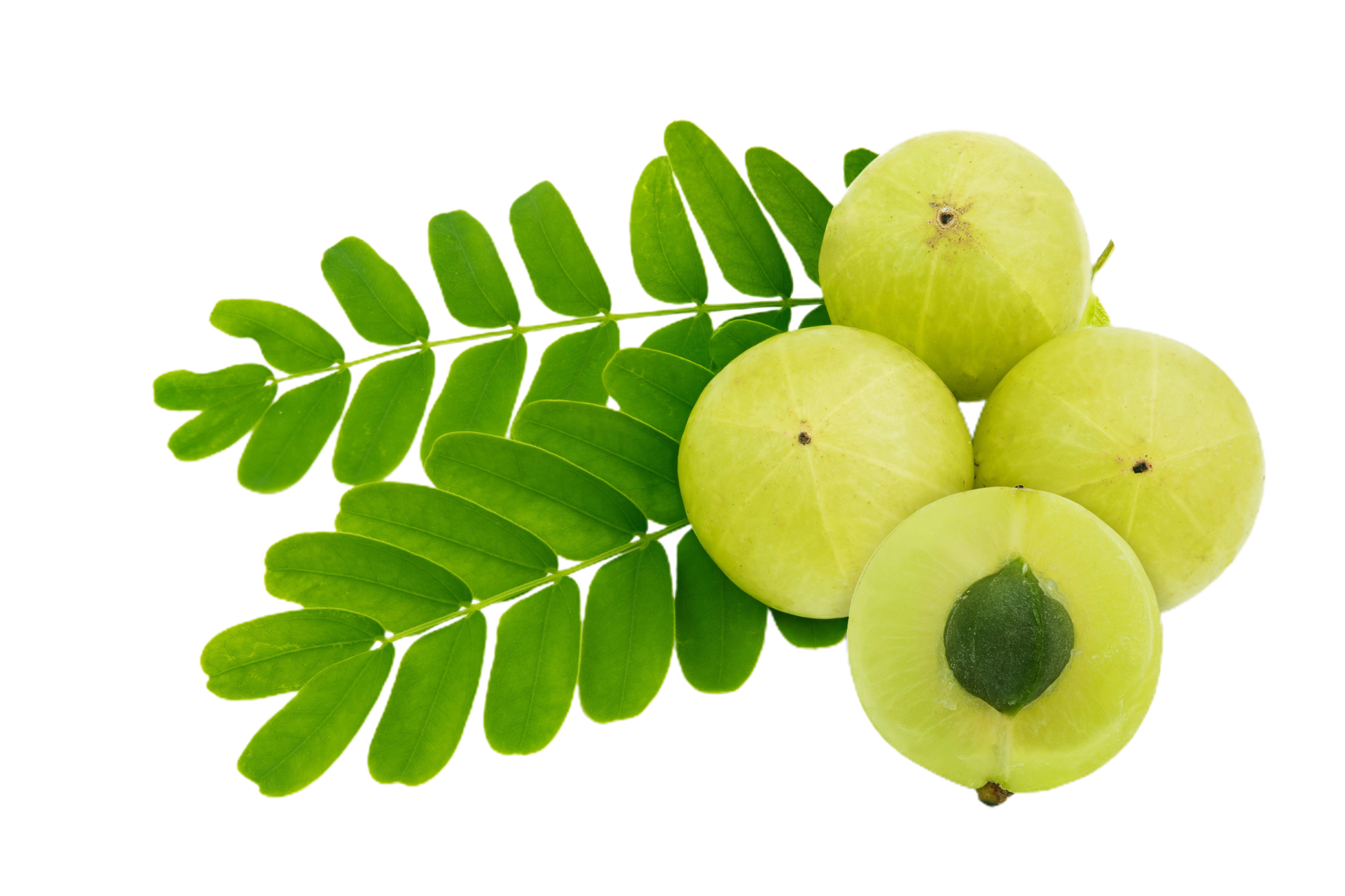 amla png transparent background 29228825 PNG