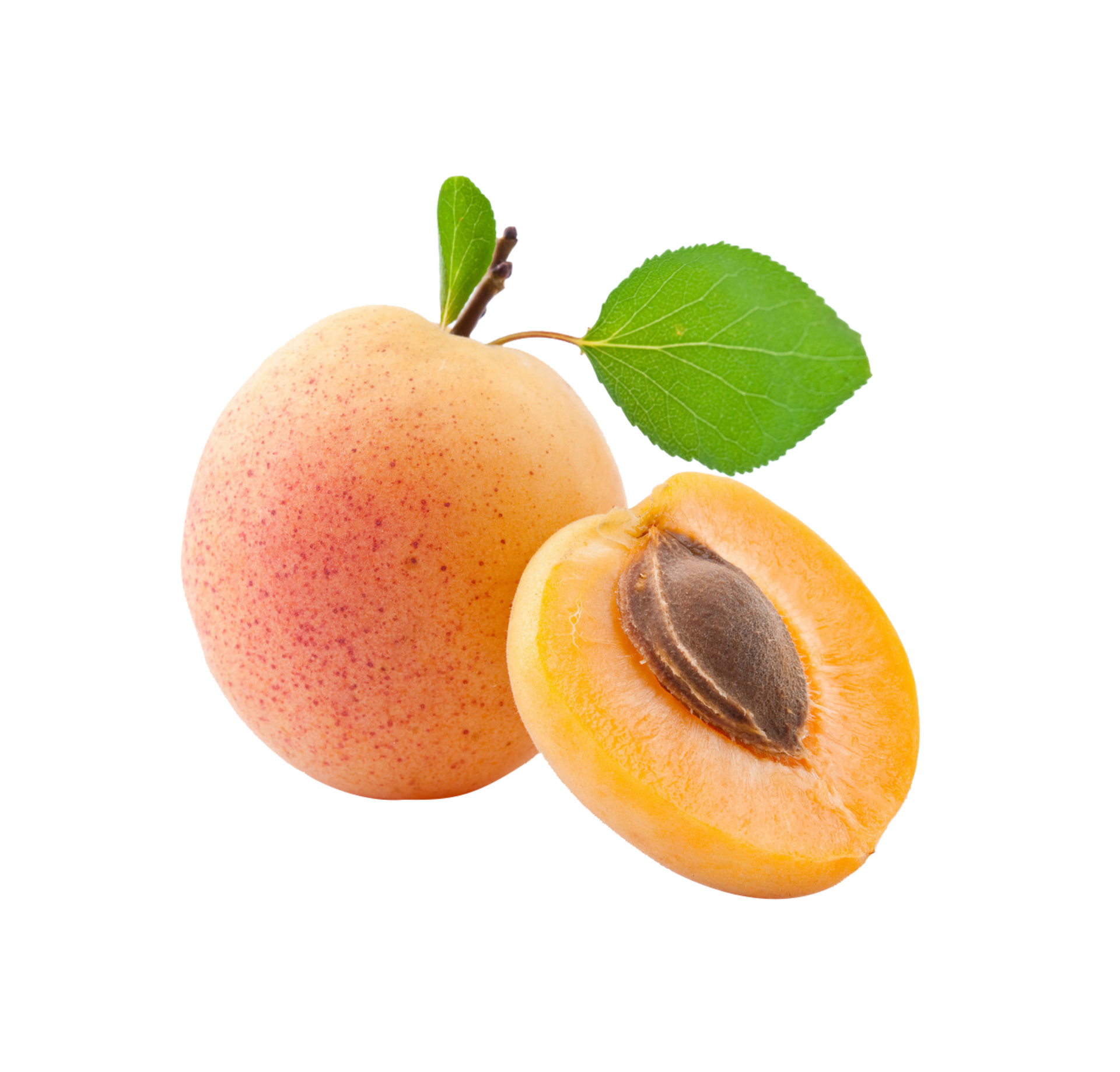 Apricot png transparent background 29228895 PNG