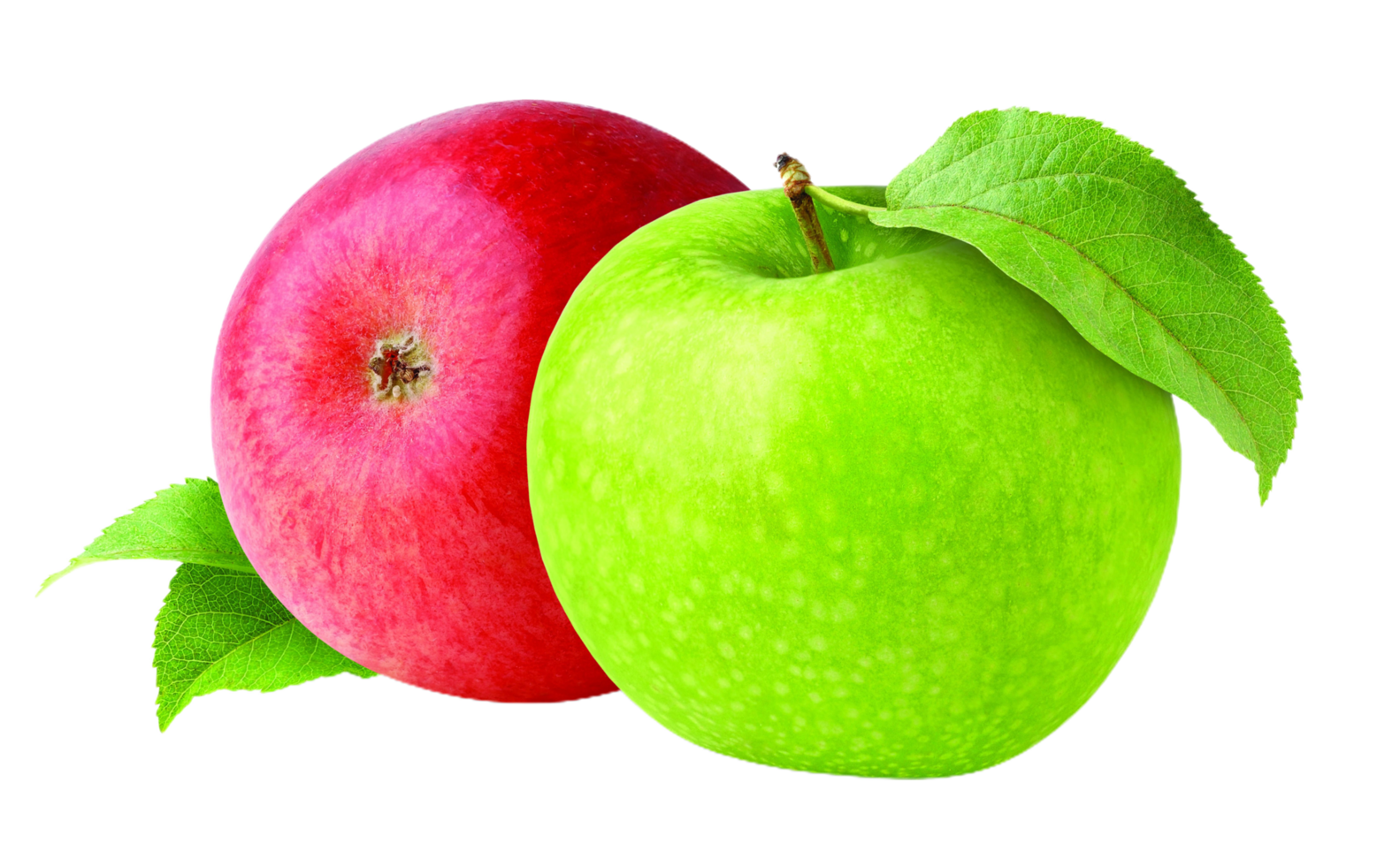 Apfel png transparent Hintergrund