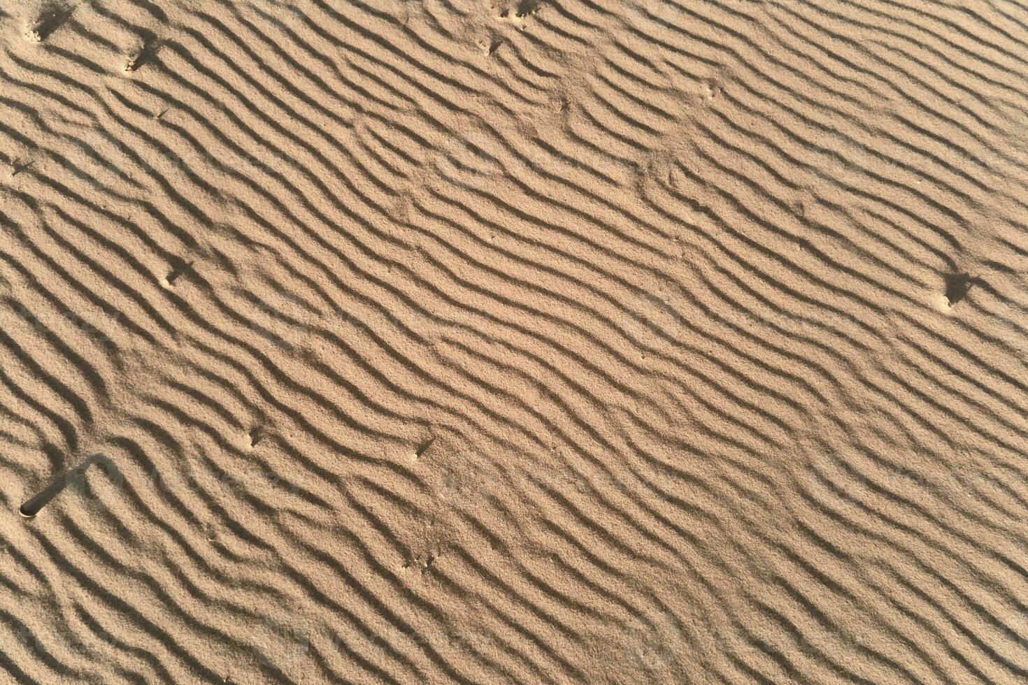 Desert sand texture with line pattern, top view photo