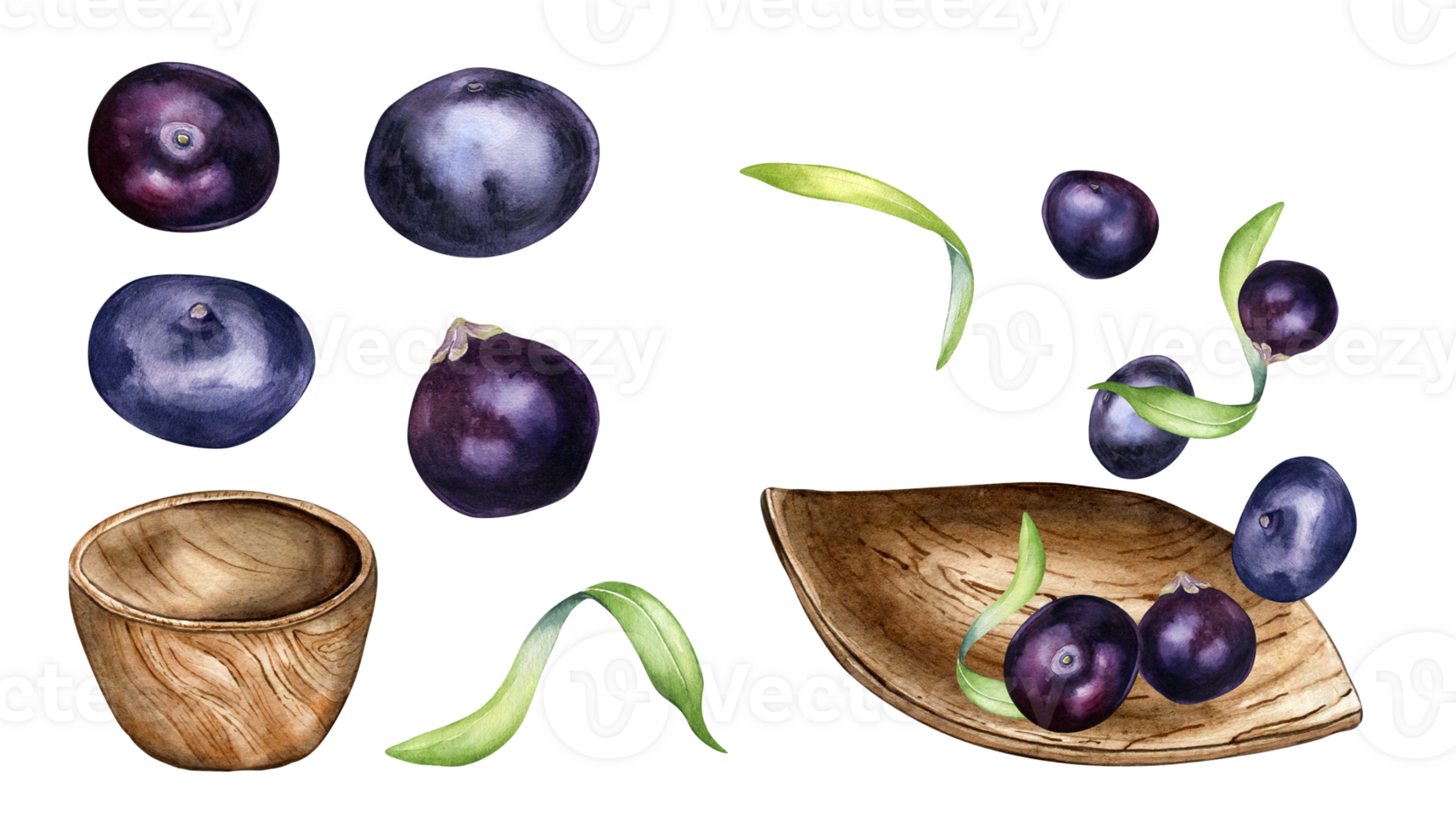 Set of acai berries, wooden bowl watercolor illustration. Exotic amazon small purple berries, leaf shaped plate, palm leaves hand drawn. Design element for packaging, label. png