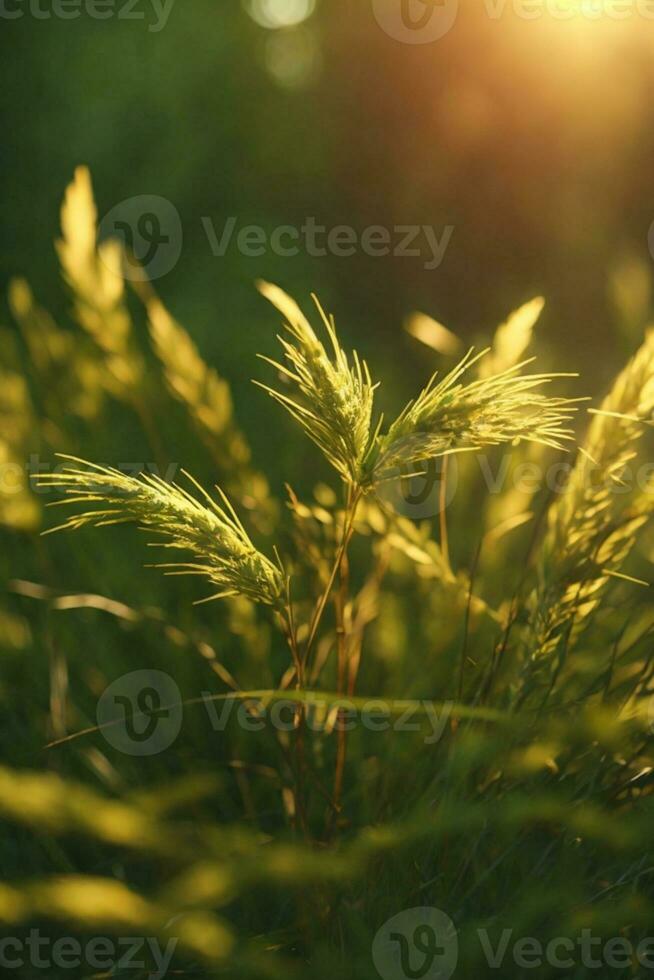 Wild grass in the forest at sunset. Macro image, shallow depth of field. Abstract summer nature background. Vintage filter. AI generated photo
