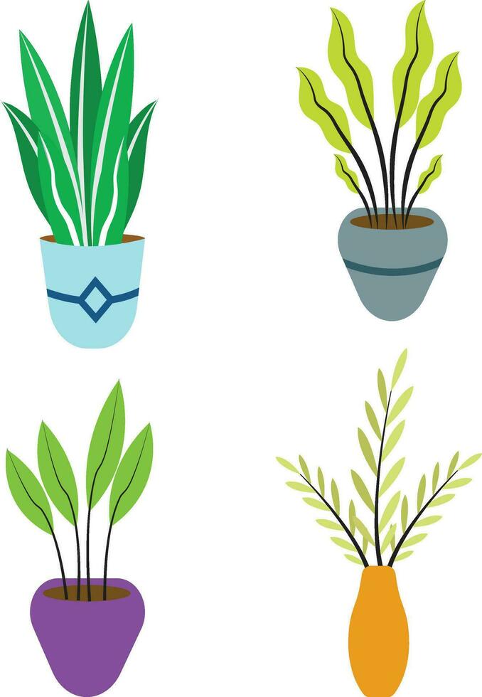 Potted Plant Illustration with Simple Design. Isolated Vector Set.