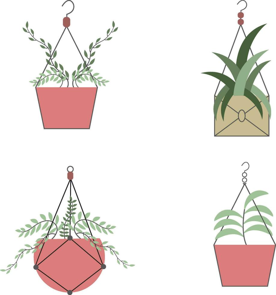 Hanging Plant Illustration Set. Isolated on White Background. vector