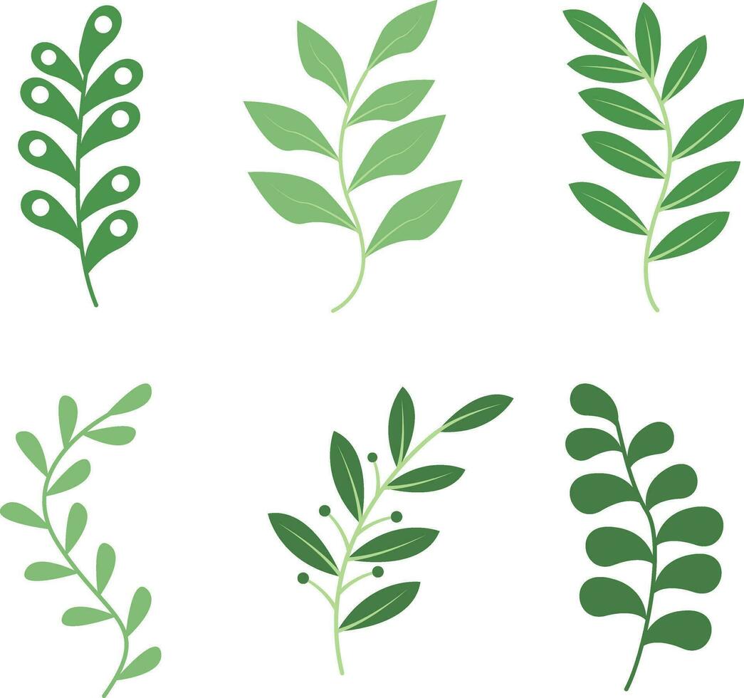 Leaf Decoration Shape. Simple Design. Vector Illustration