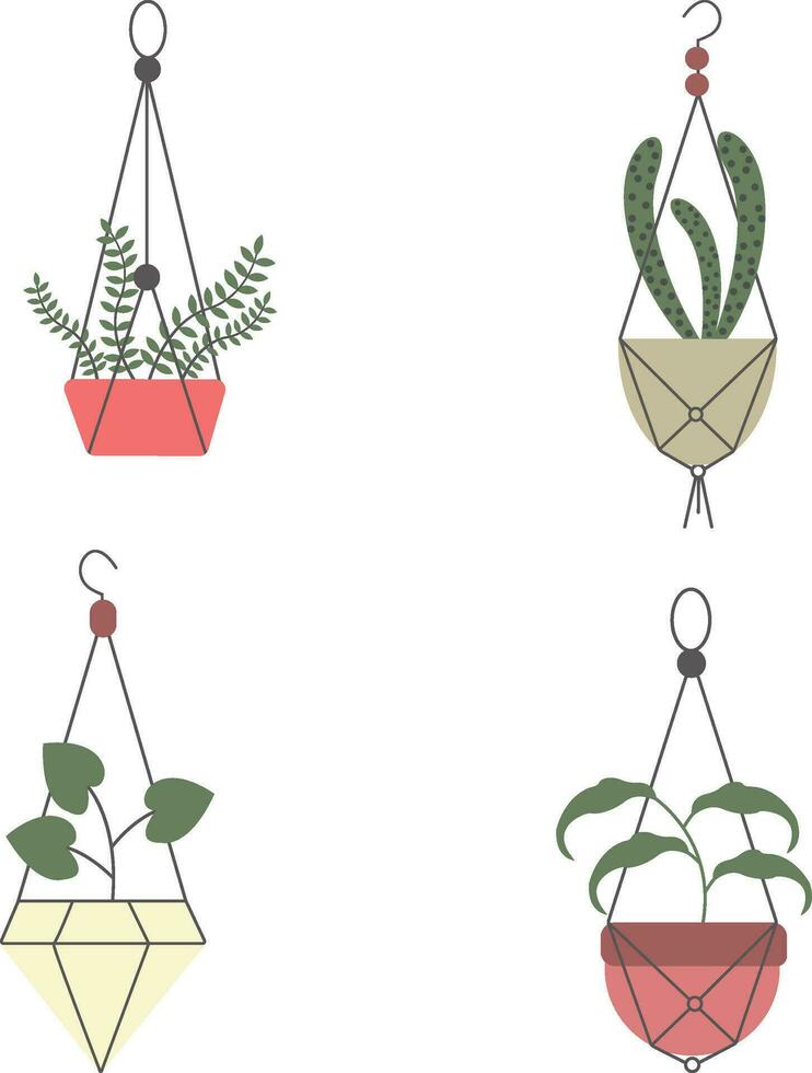 Hanging Plant Illustration Set. Isolated on White Background. vector