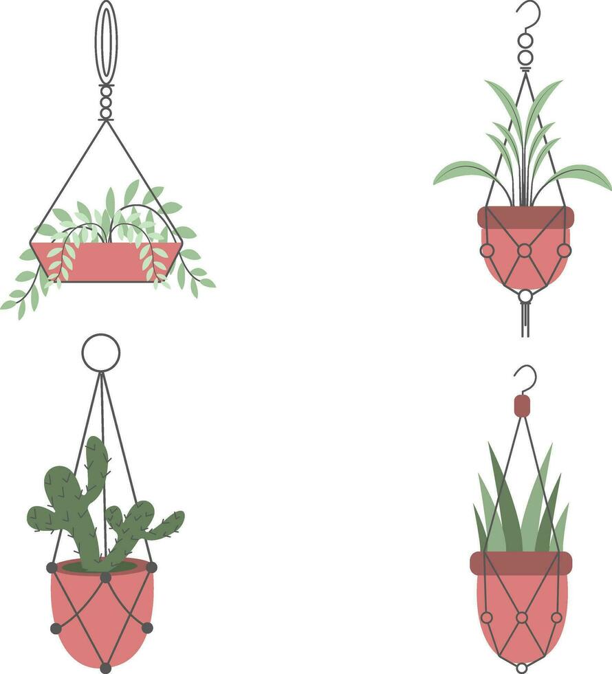 Hanging Plant Illustration Set. Isolated on White Background. vector