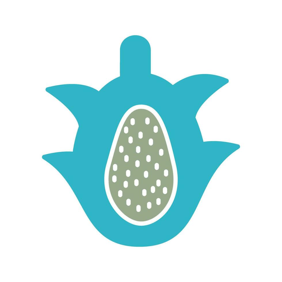 Dragon Fruit Vector Icon