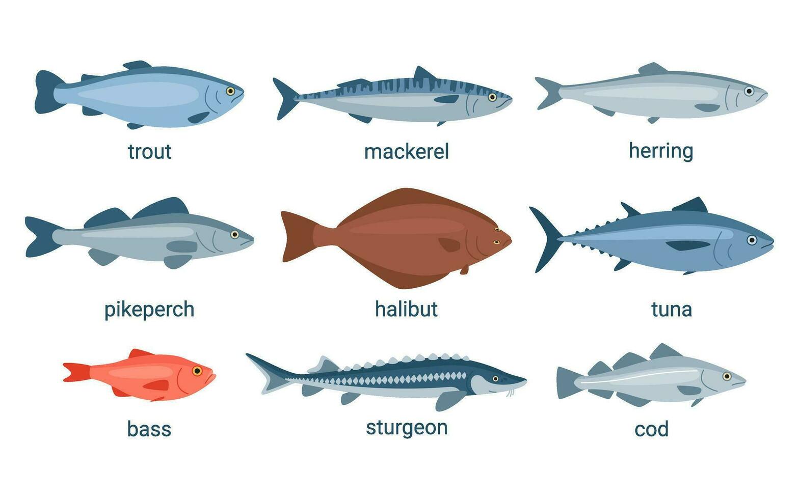 Types Of Edible Fish