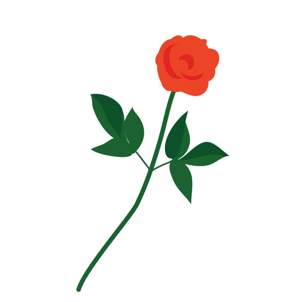 Vector red artistic rose on white background
