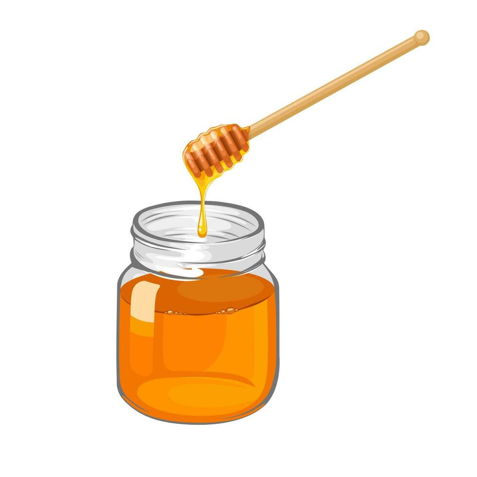Vector illustration, honey jar, with honey stick, isolated on white background.