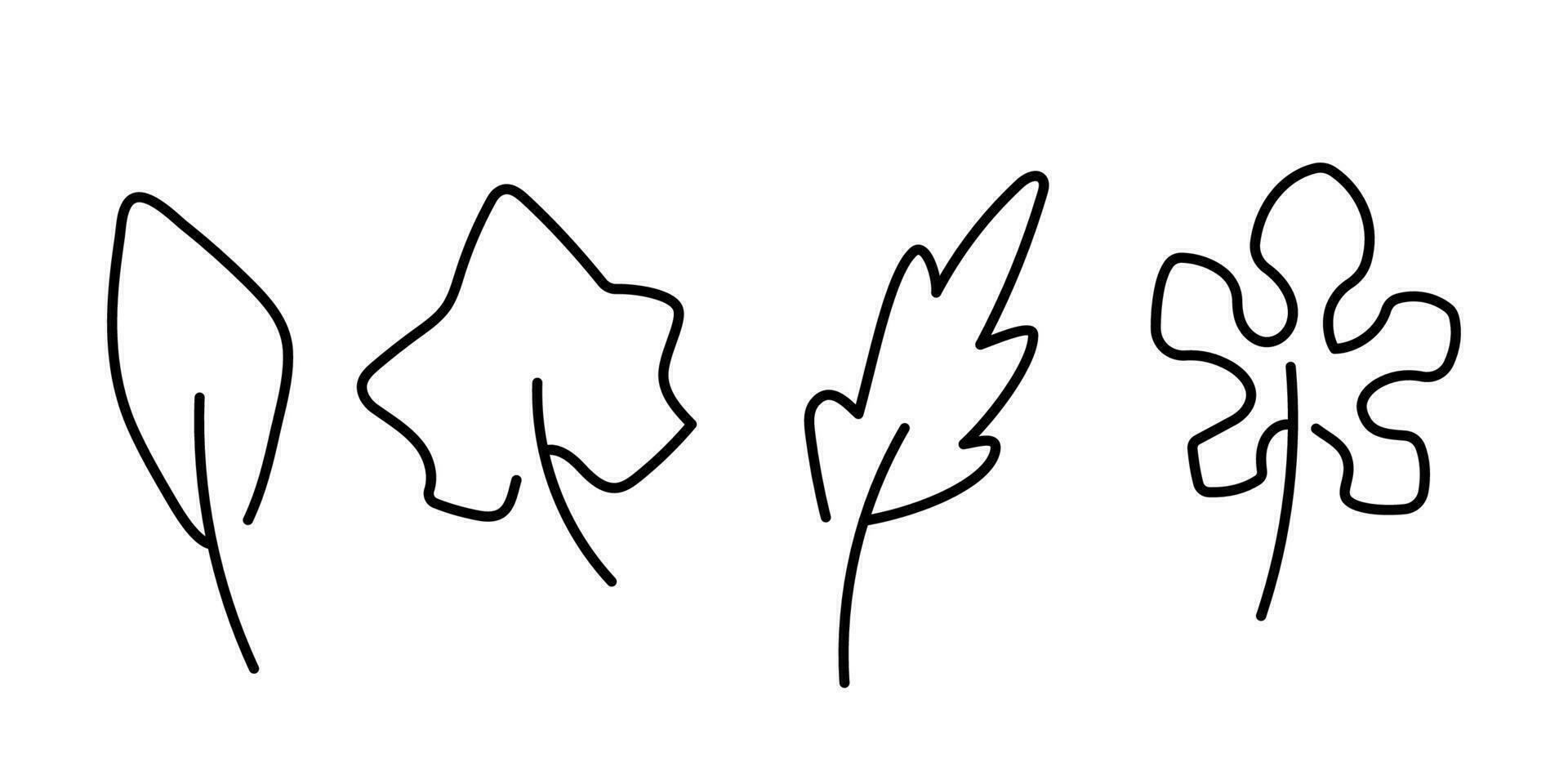 Different leaves outline doodle illustration set. Contour line black and white vector drawings.