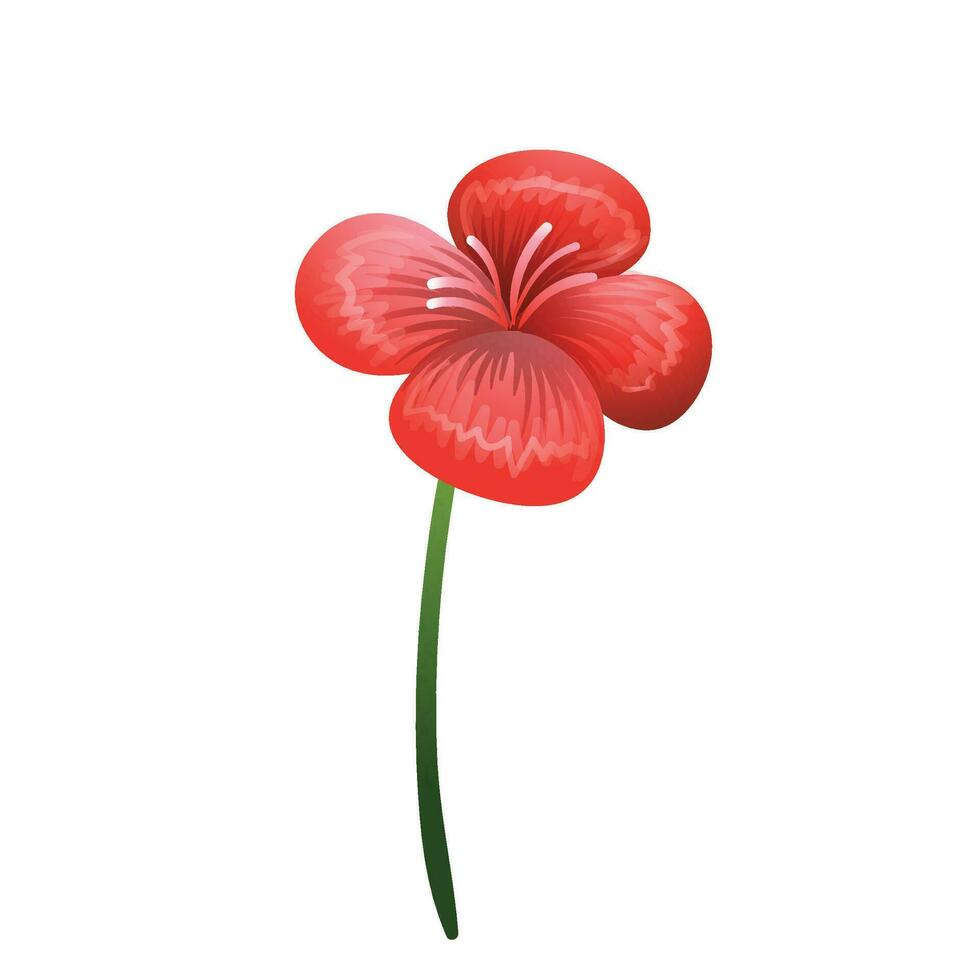 Vector beautiful bloomed poppies illustration