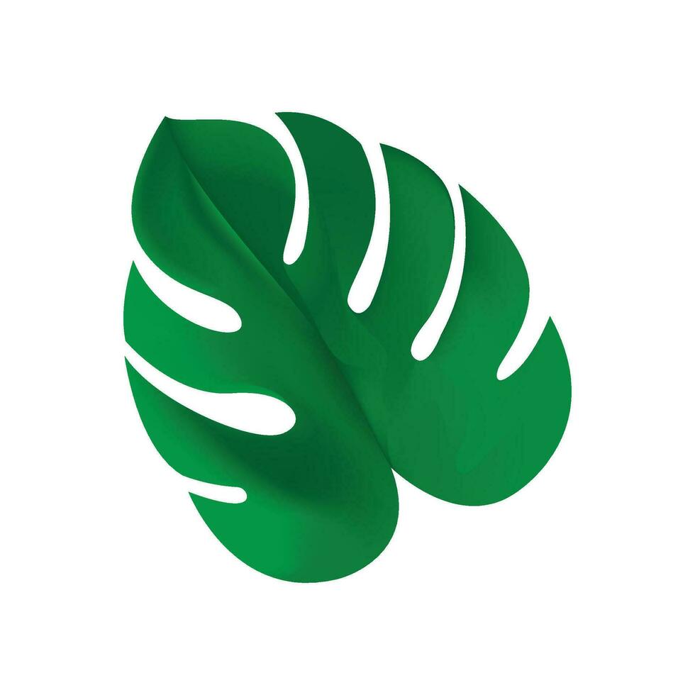 Vector monstera leaf icon cartoon of monstera leaf vector icon for web design isolated on white background