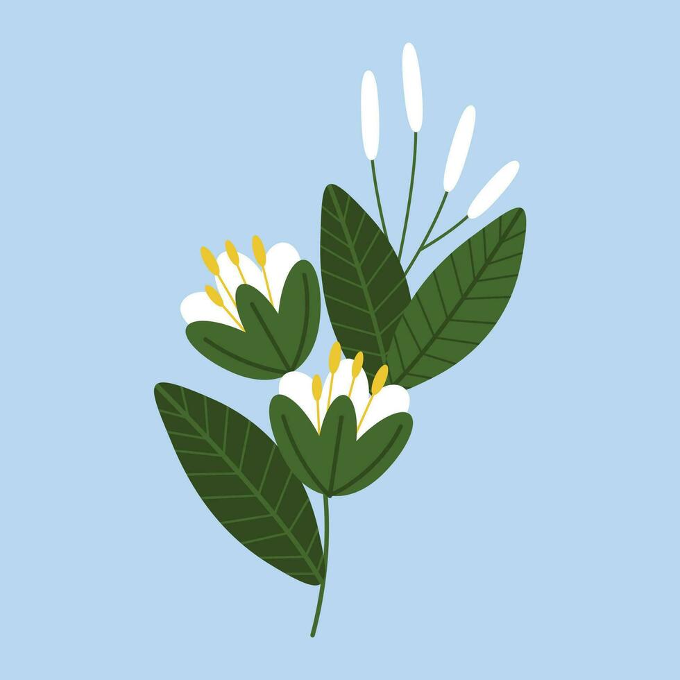 Vector hand drawn flat design flower illustration