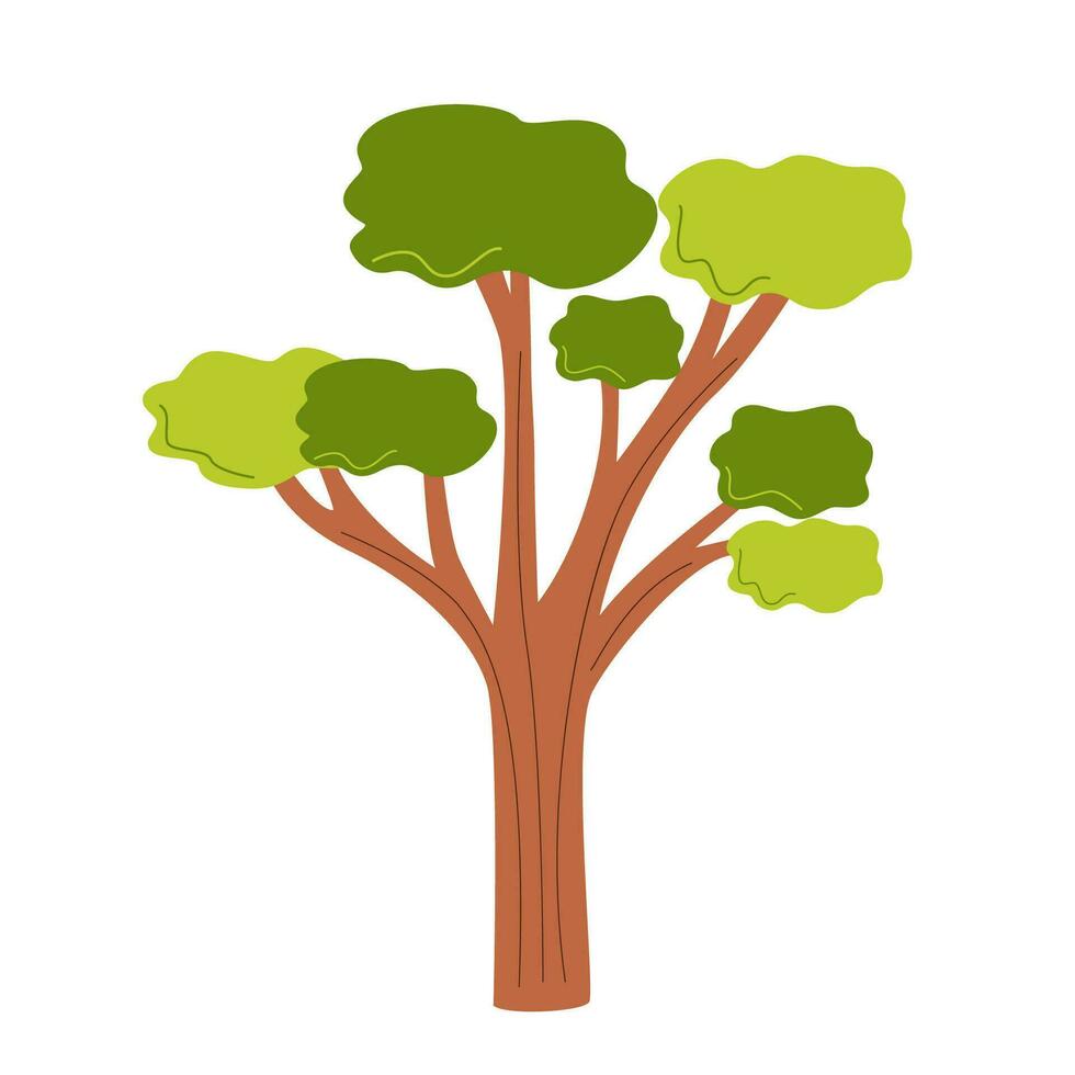 vector imagen de linda eucalipto árbol aislado en blanco antecedentes.