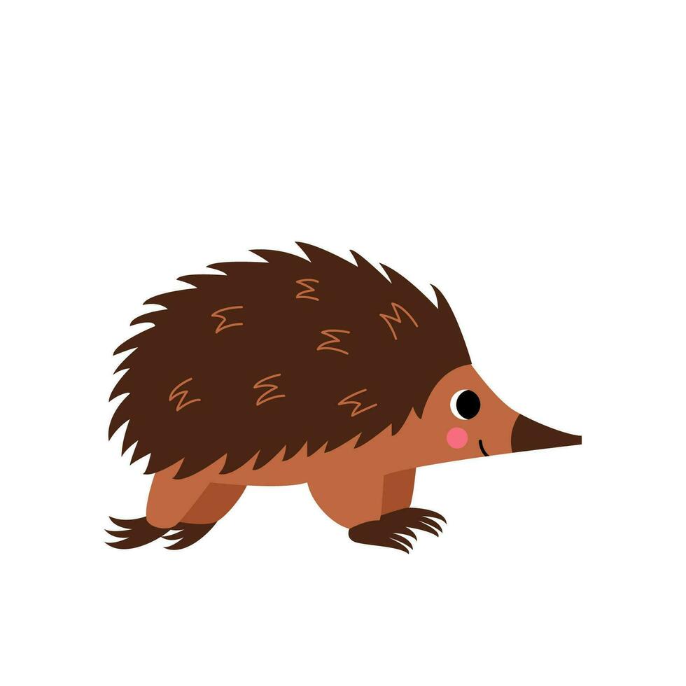 Vector picture of cute echidna isolated on white background.