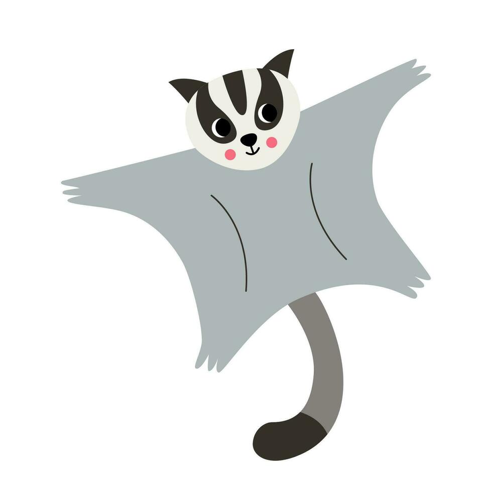 Vector picture of cute sugar glider isolated on white background.