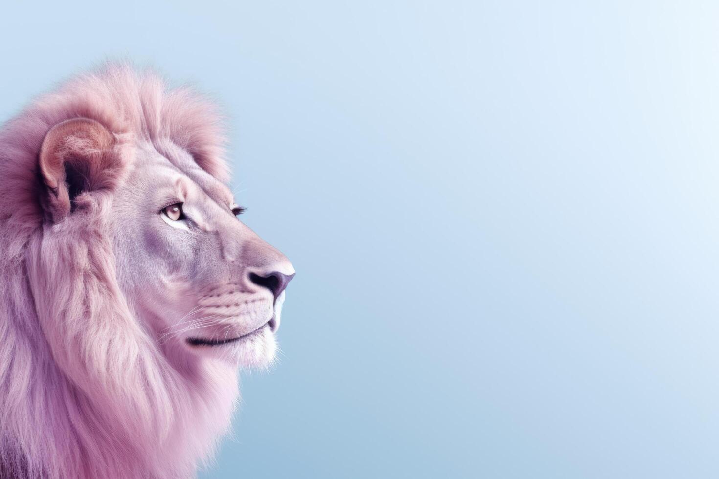 Minimalism Lion Side Front View Over Blue Background With Abstract Gradient Background photo