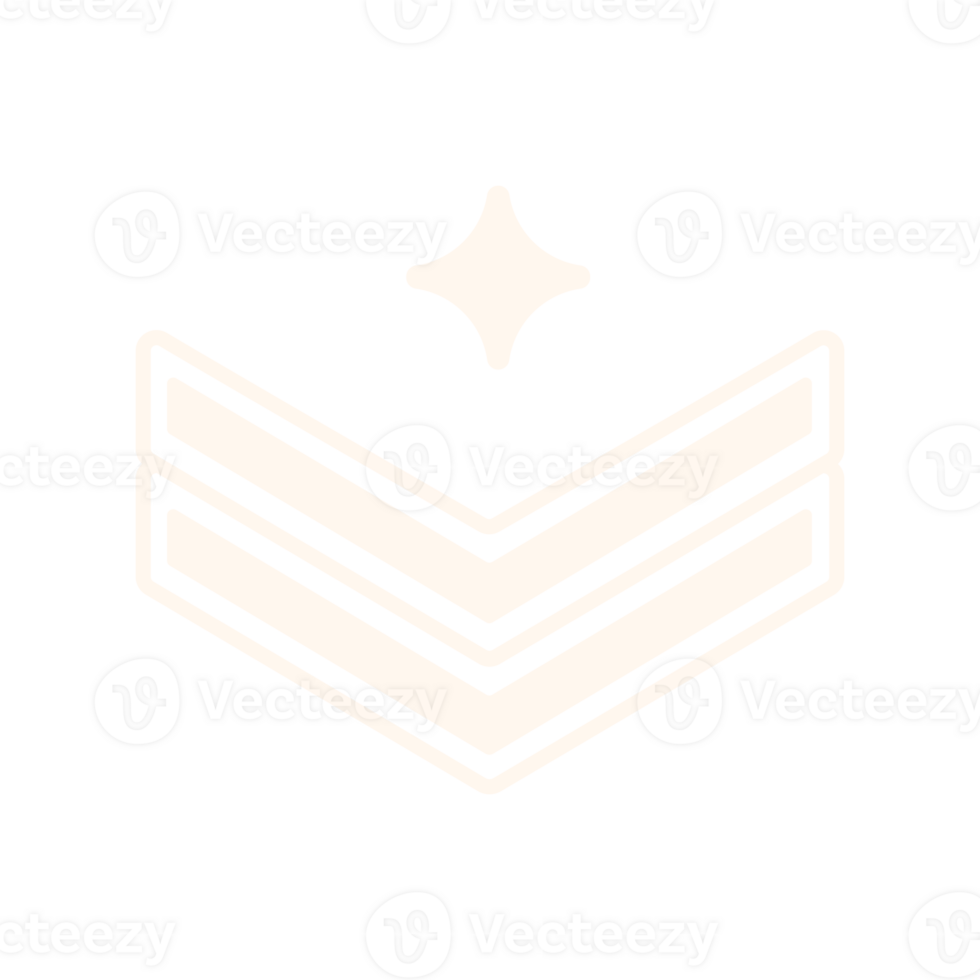 Military badge icon png
