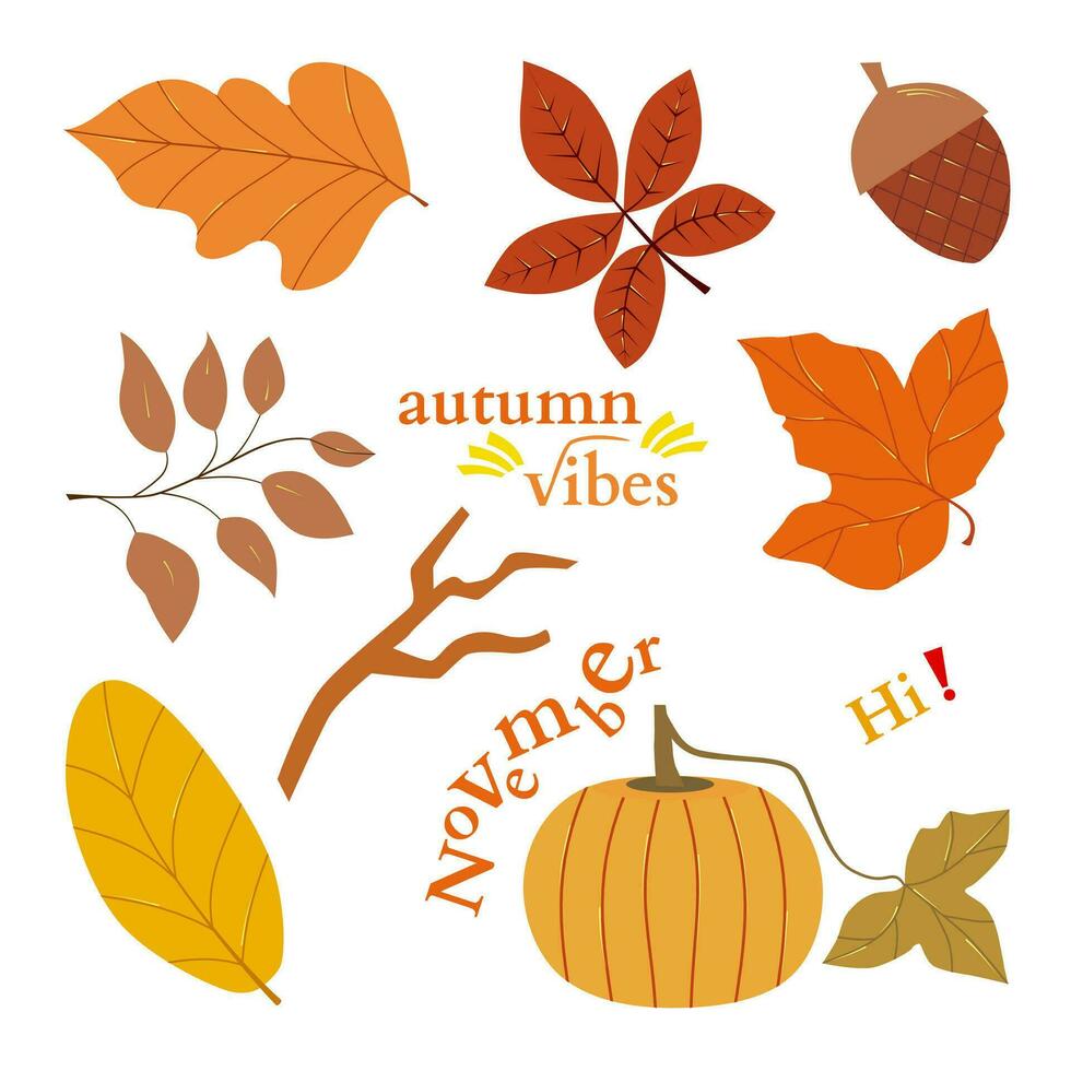 Vector set of autumn elements. Modern fall seasonal decor with dried leaf, maple leaf and pumpkin