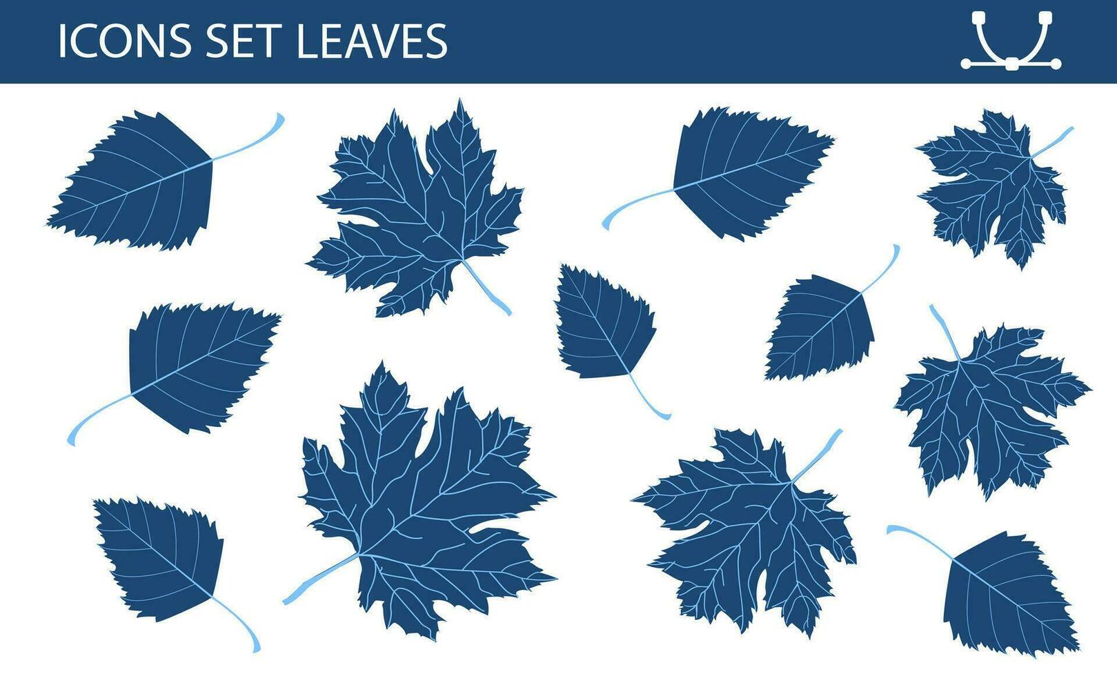 Set leaves, different colors on white background. Concept - Isolated elements for design. Maple leaves, birch leaves vector